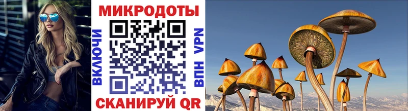 Купить где  Рыльск  Галлюциногенные грибы мухоморы 